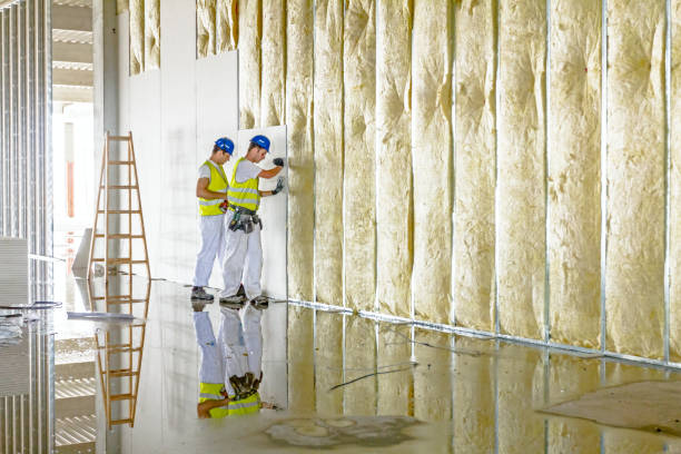 Best Insulation Repair Services  in Bristol, WI